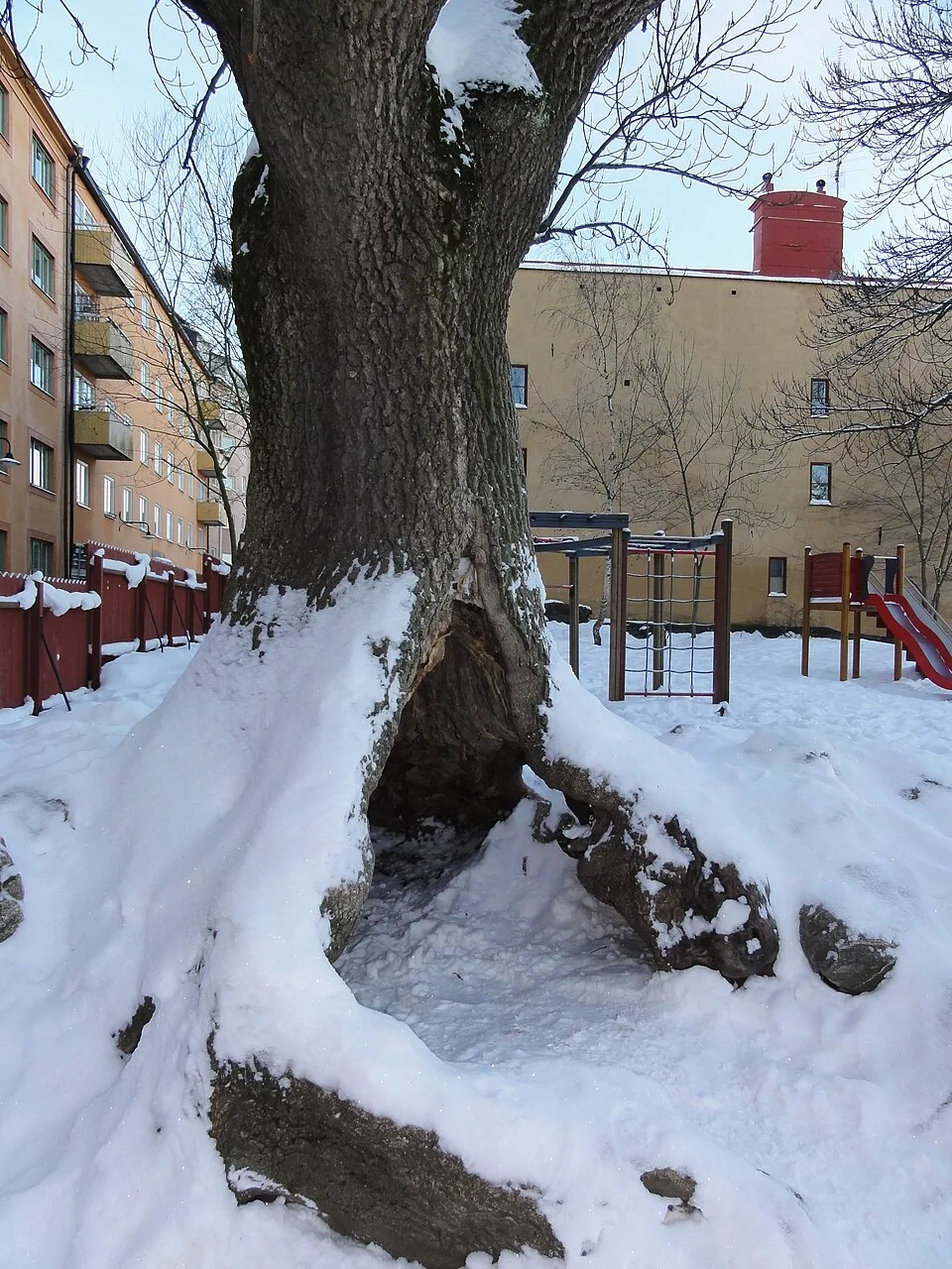 Ivar Los park – lekplats